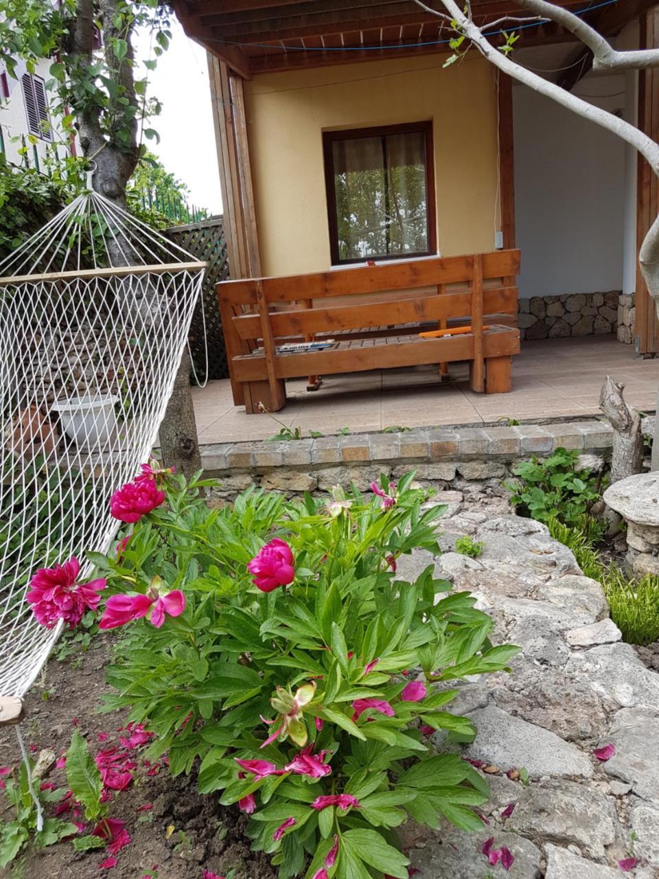 Casa Nikita Vama Veche Exterior foto