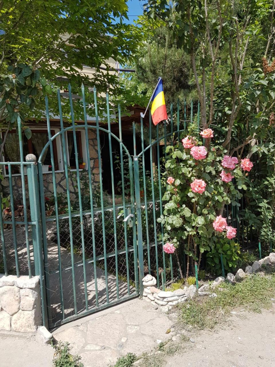 Casa Nikita Vama Veche Exterior foto
