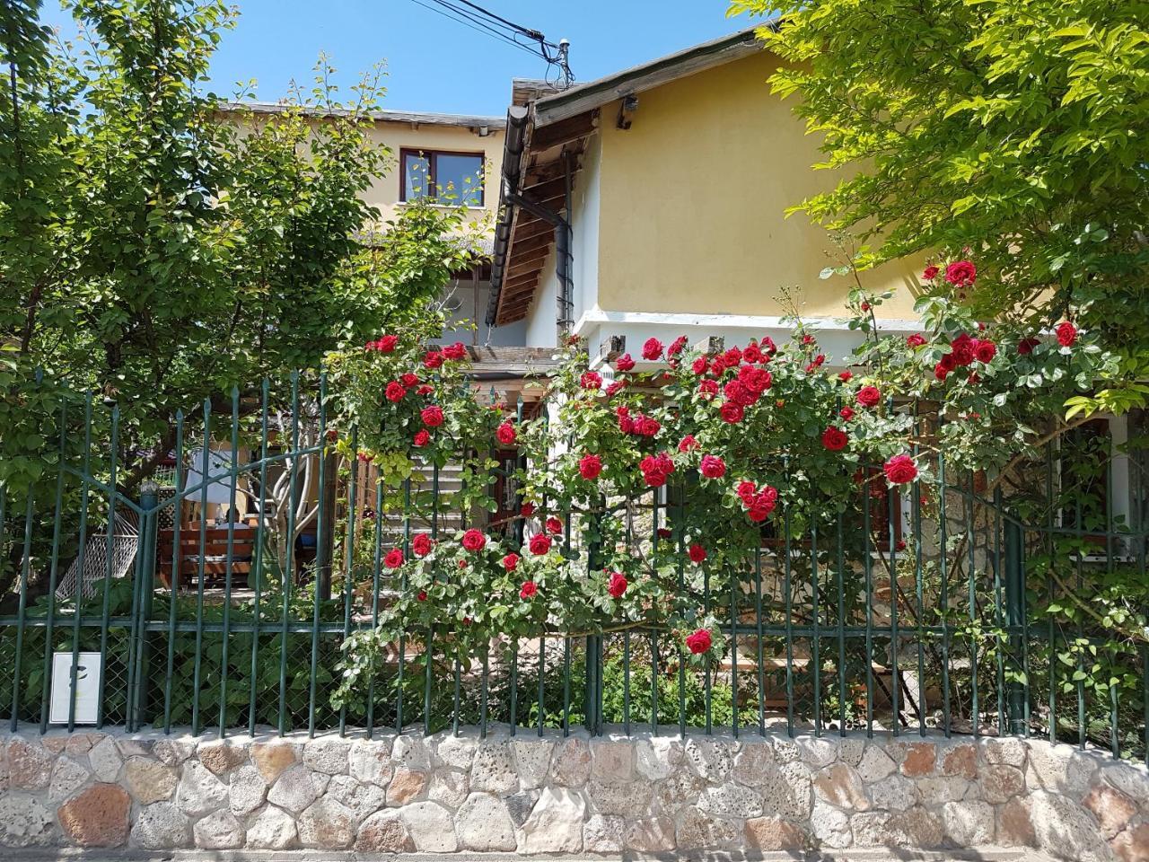 Casa Nikita Vama Veche Exterior foto